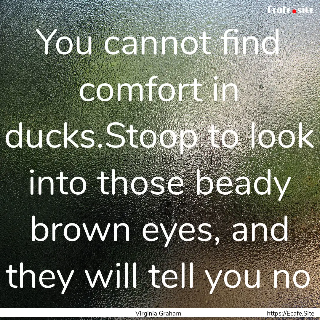 You cannot find comfort in ducks.Stoop to.... : Quote by Virginia Graham