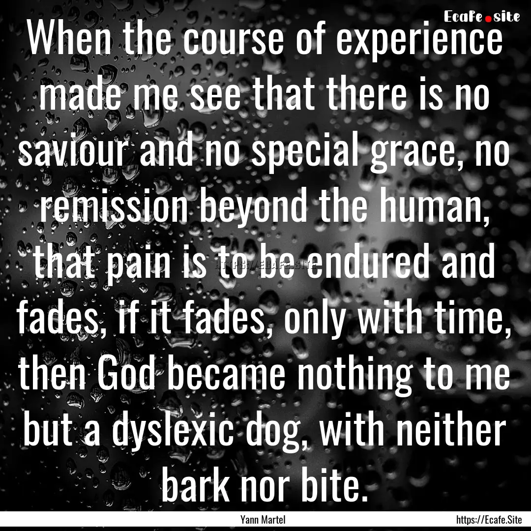 When the course of experience made me see.... : Quote by Yann Martel