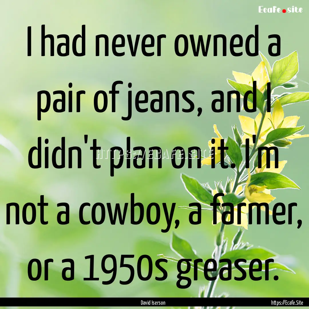 I had never owned a pair of jeans, and I.... : Quote by David Iserson