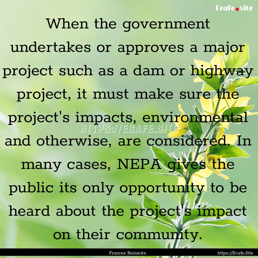 When the government undertakes or approves.... : Quote by Frances Beinecke