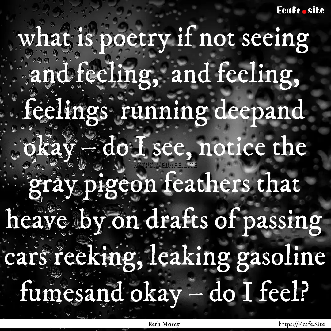 what is poetry if not seeing and feeling,.... : Quote by Beth Morey