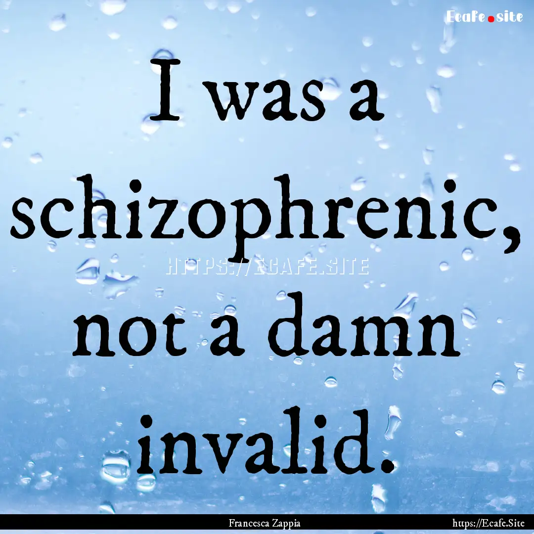 I was a schizophrenic, not a damn invalid..... : Quote by Francesca Zappia