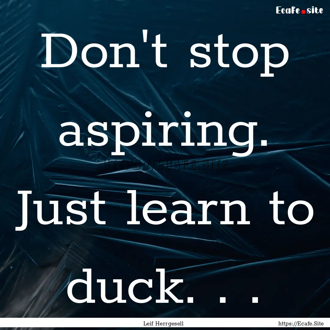 Don't stop aspiring. Just learn to duck..... : Quote by Leif Herrgesell