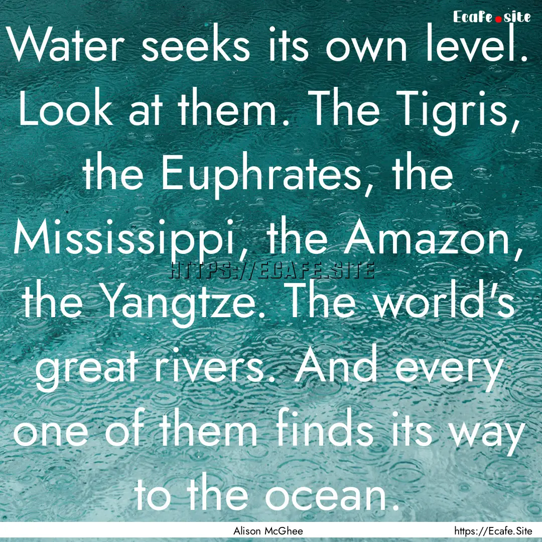 Water seeks its own level. Look at them..... : Quote by Alison McGhee