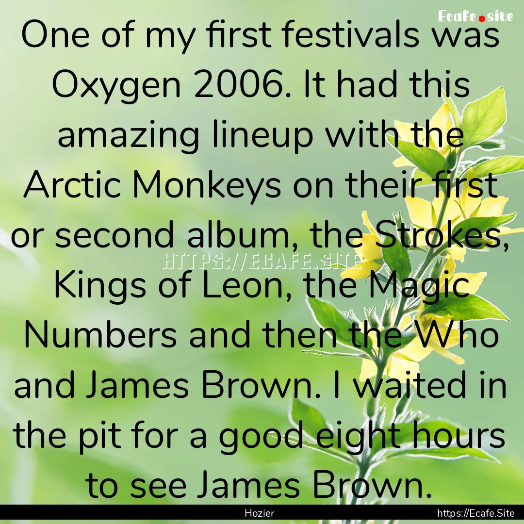 One of my first festivals was Oxygen 2006..... : Quote by Hozier