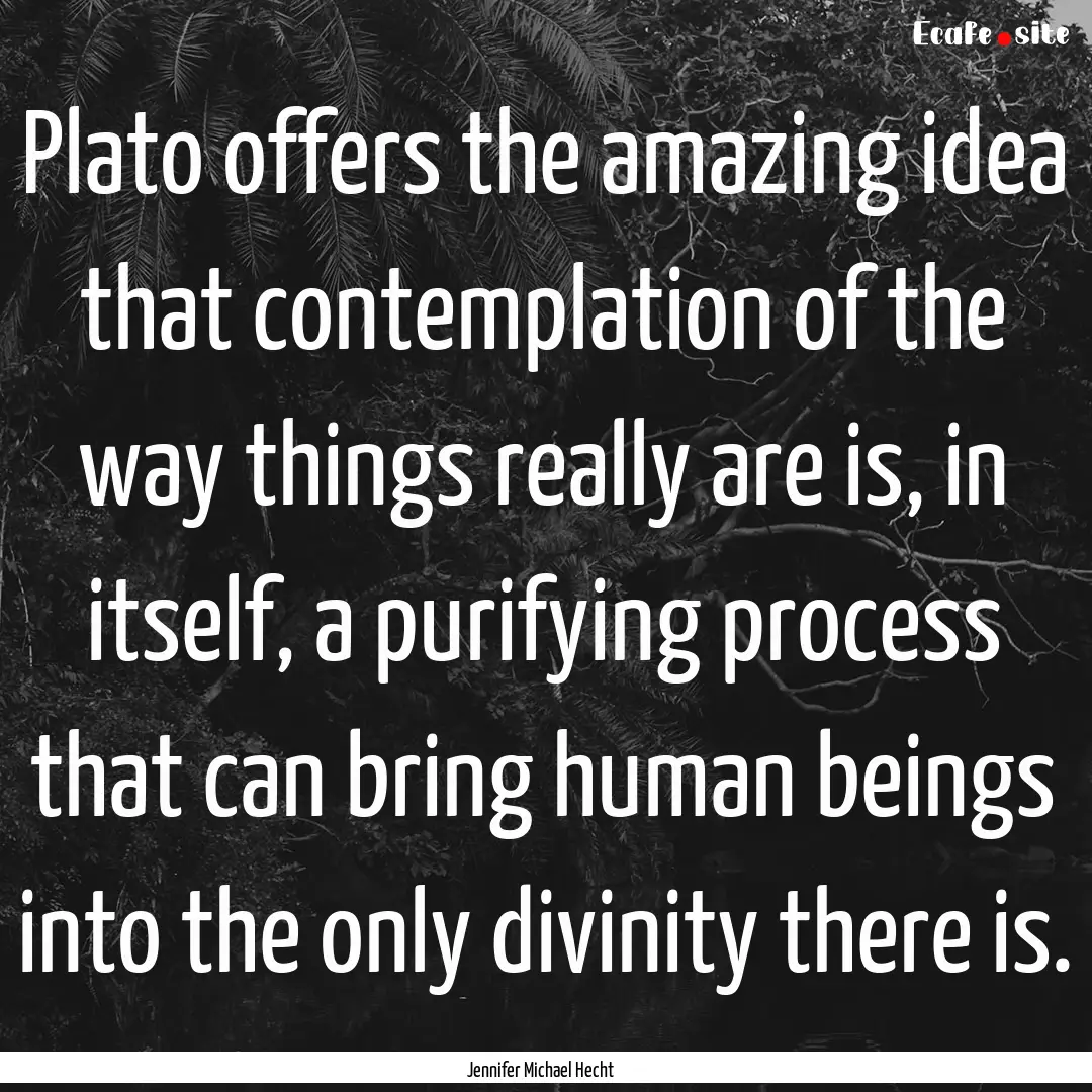 Plato offers the amazing idea that contemplation.... : Quote by Jennifer Michael Hecht