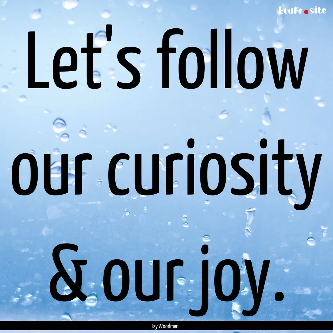 Let's follow our curiosity & our joy. : Quote by Jay Woodman