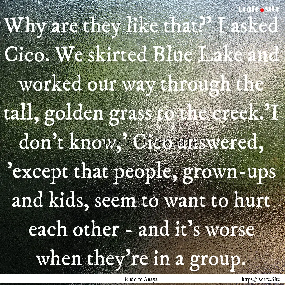 Why are they like that?' I asked Cico. We.... : Quote by Rudolfo Anaya