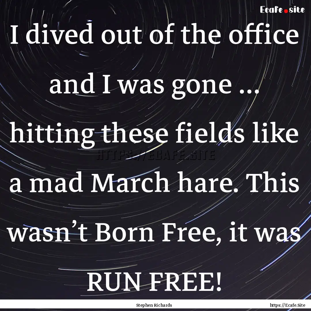 I dived out of the office and I was gone.... : Quote by Stephen Richards