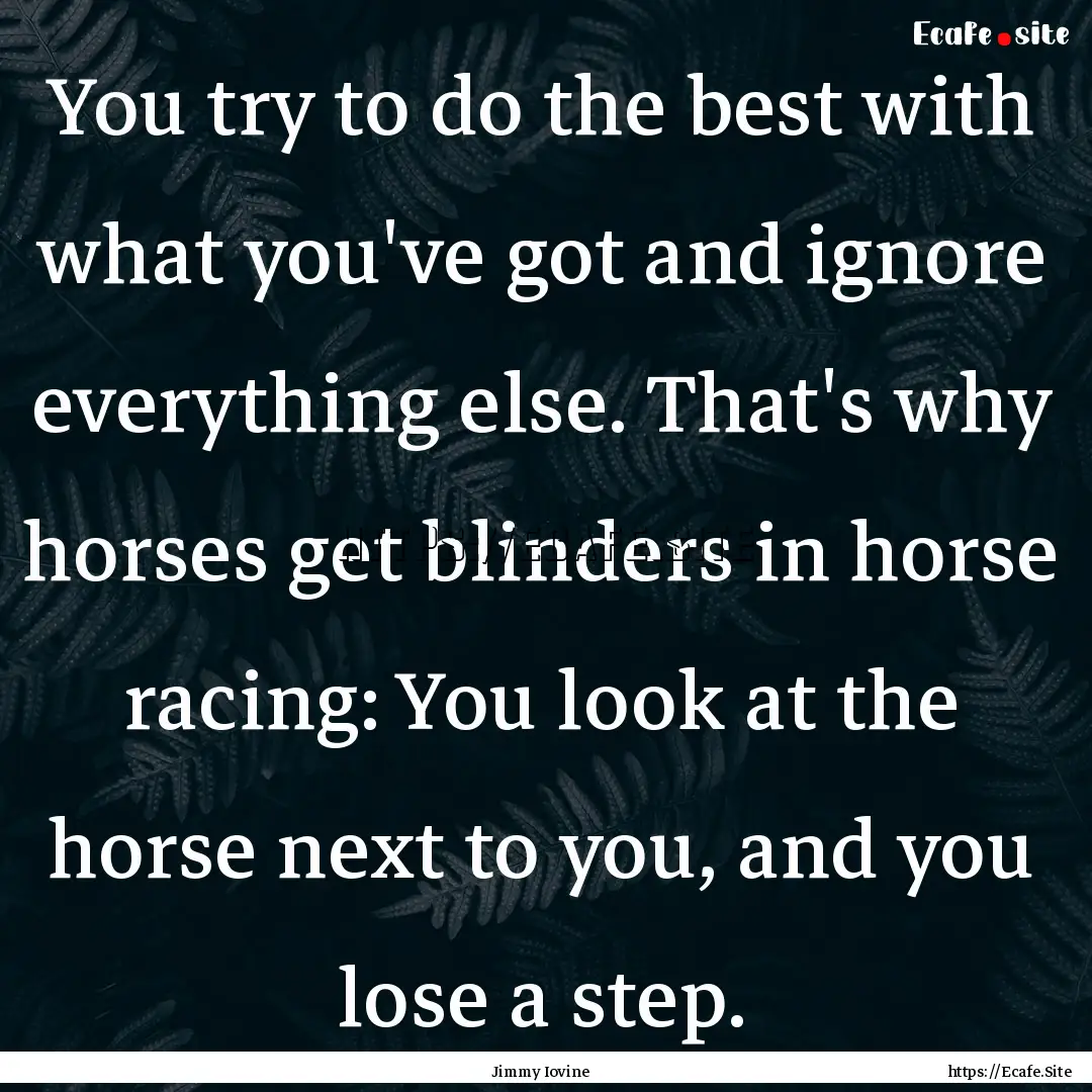 You try to do the best with what you've got.... : Quote by Jimmy Iovine