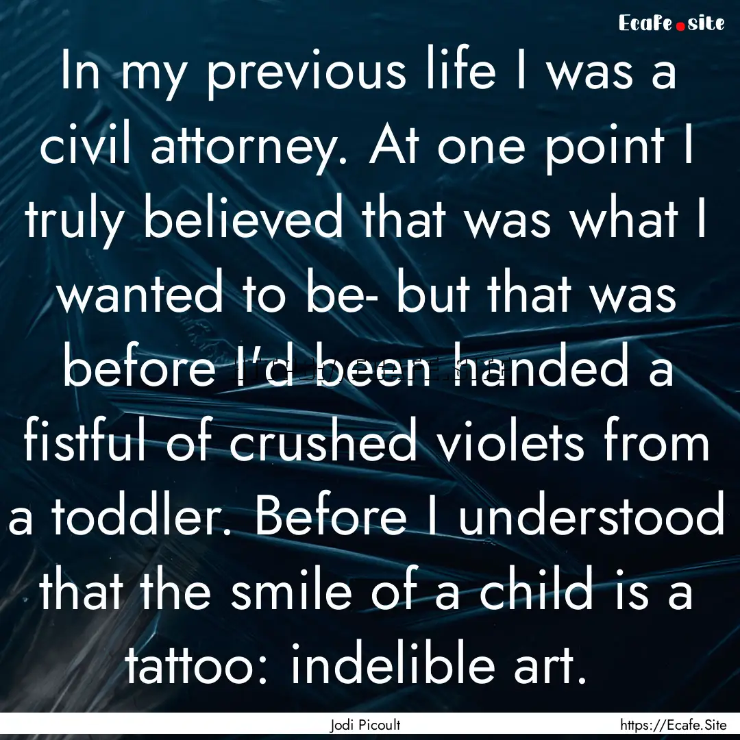 In my previous life I was a civil attorney..... : Quote by Jodi Picoult