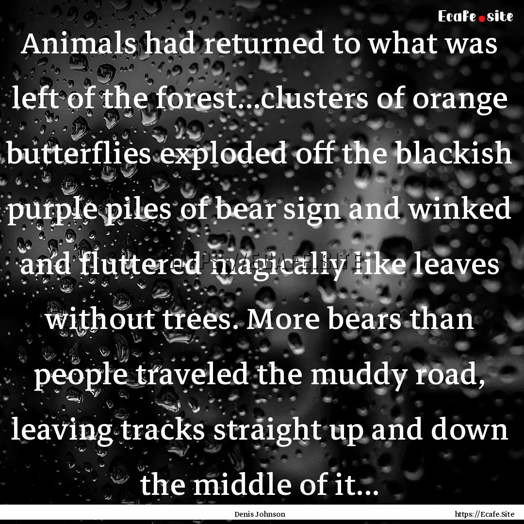 Animals had returned to what was left of.... : Quote by Denis Johnson