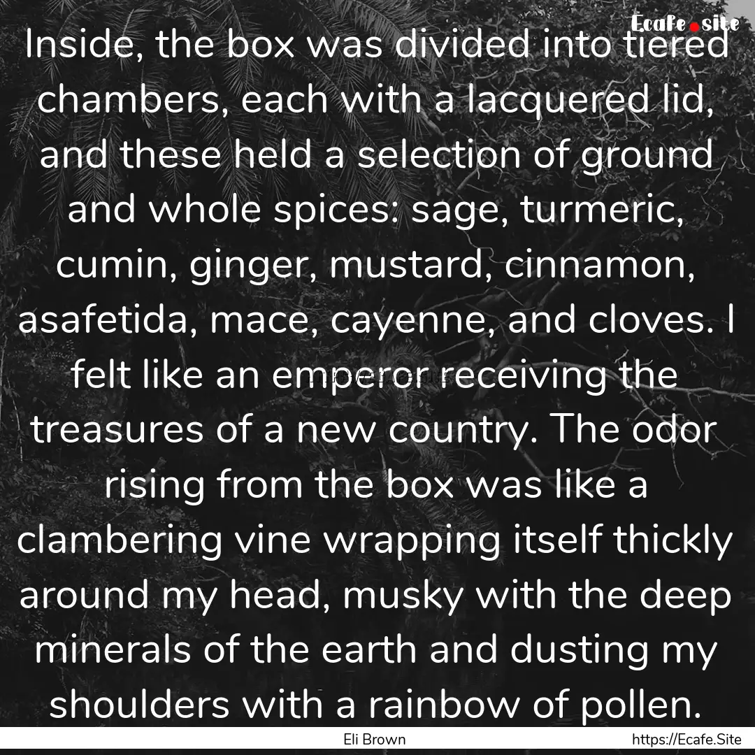 Inside, the box was divided into tiered chambers,.... : Quote by Eli Brown