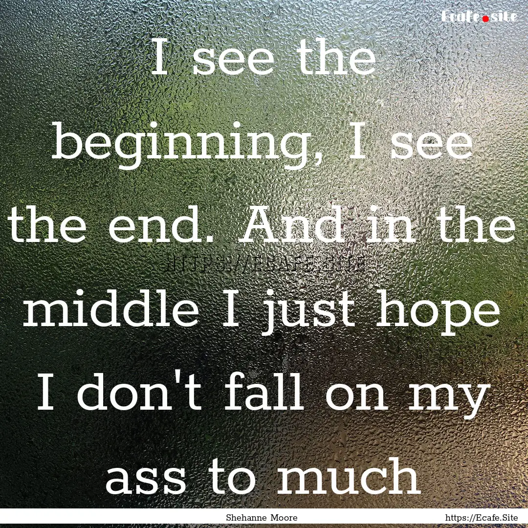 I see the beginning, I see the end. And in.... : Quote by Shehanne Moore