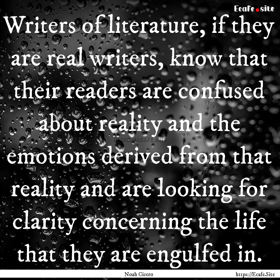 Writers of literature, if they are real writers,.... : Quote by Noah Cicero