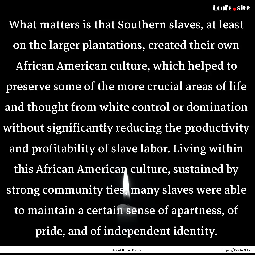 What matters is that Southern slaves, at.... : Quote by David Brion Davis