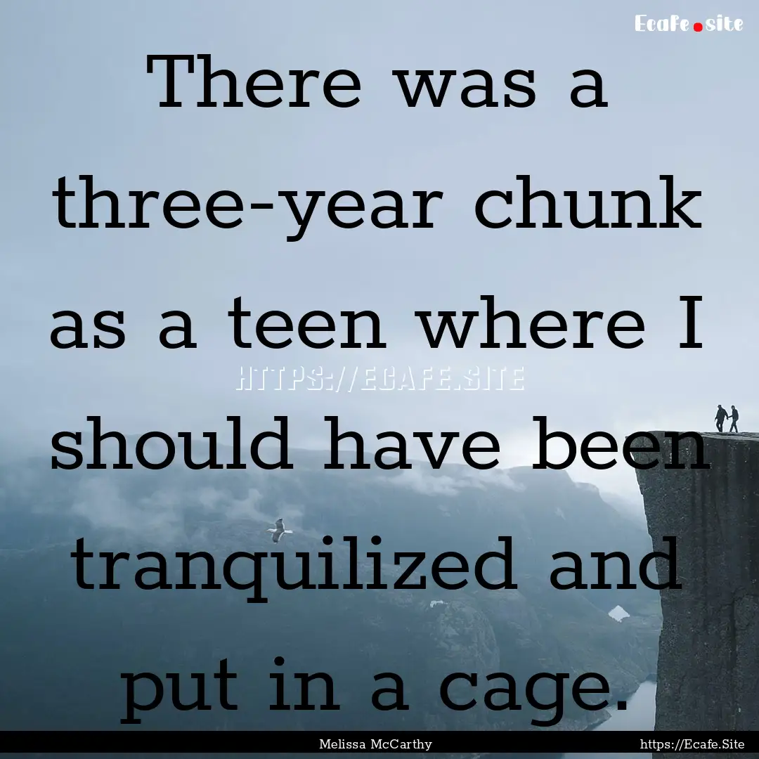 There was a three-year chunk as a teen where.... : Quote by Melissa McCarthy