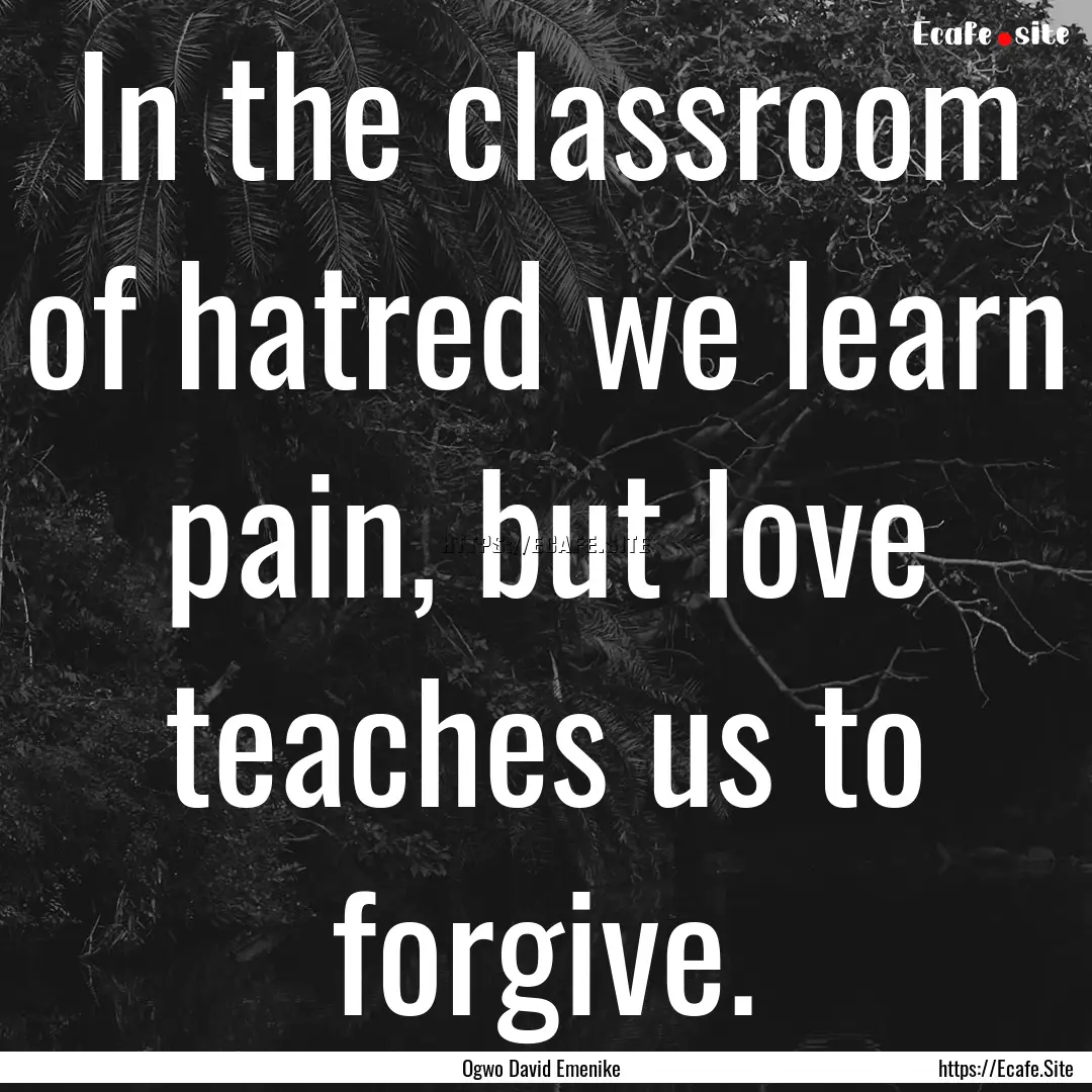 In the classroom of hatred we learn pain,.... : Quote by Ogwo David Emenike