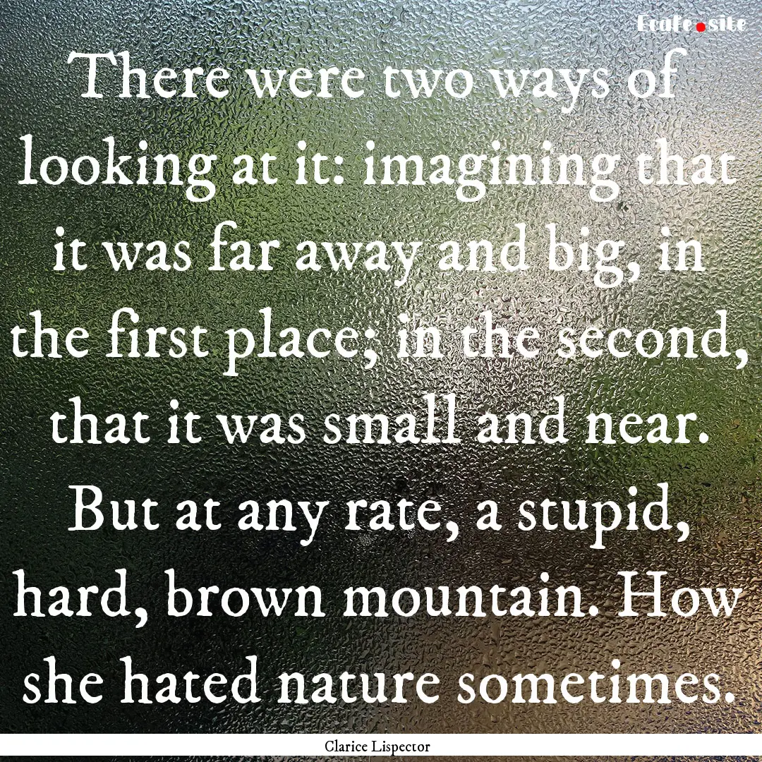 There were two ways of looking at it: imagining.... : Quote by Clarice Lispector