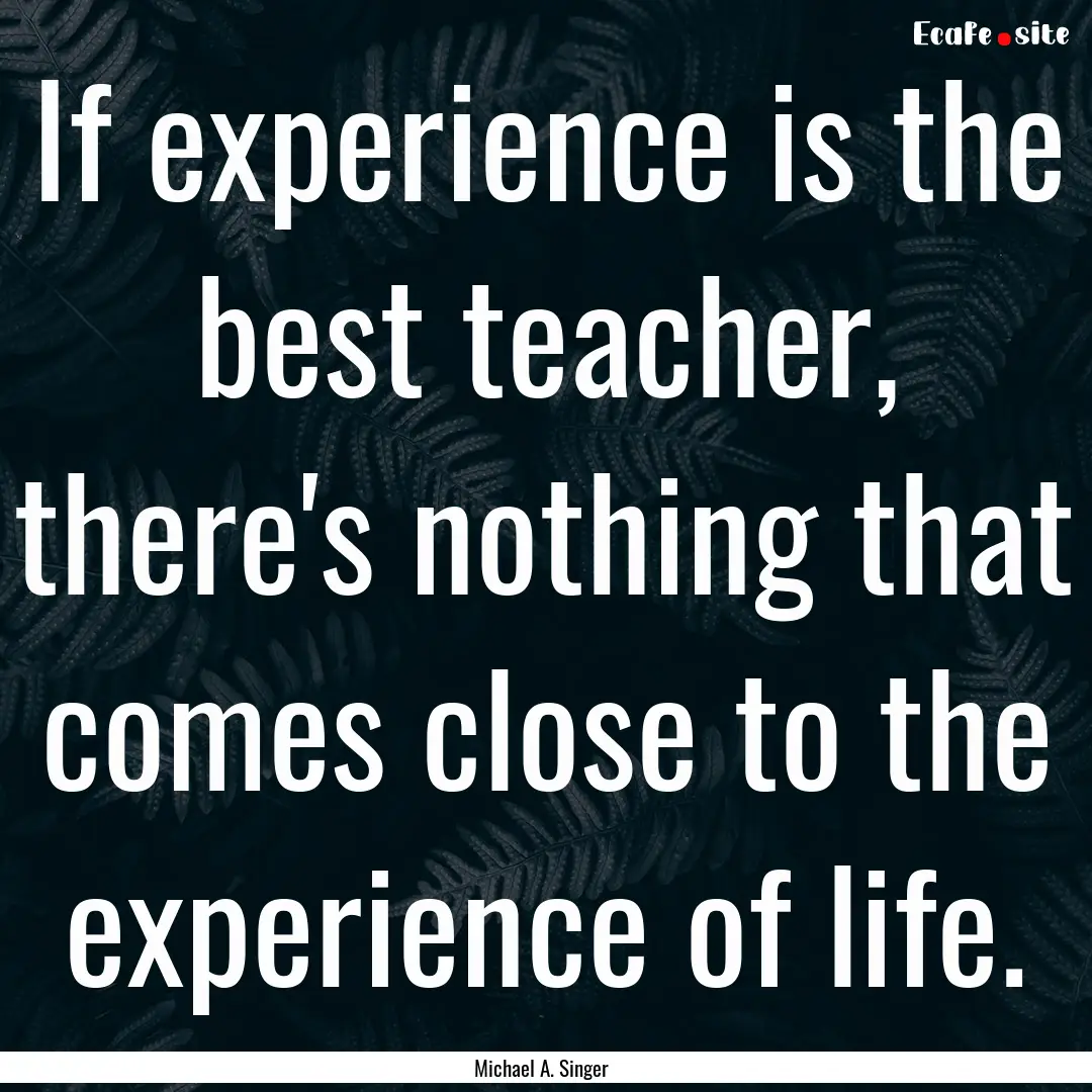 If experience is the best teacher, there's.... : Quote by Michael A. Singer