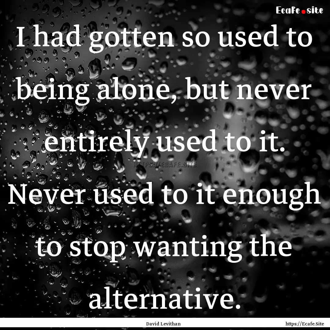 I had gotten so used to being alone, but.... : Quote by David Levithan