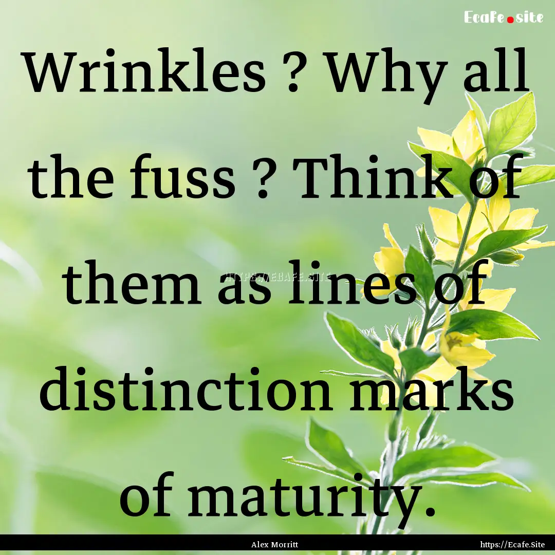 Wrinkles ? Why all the fuss ? Think of them.... : Quote by Alex Morritt