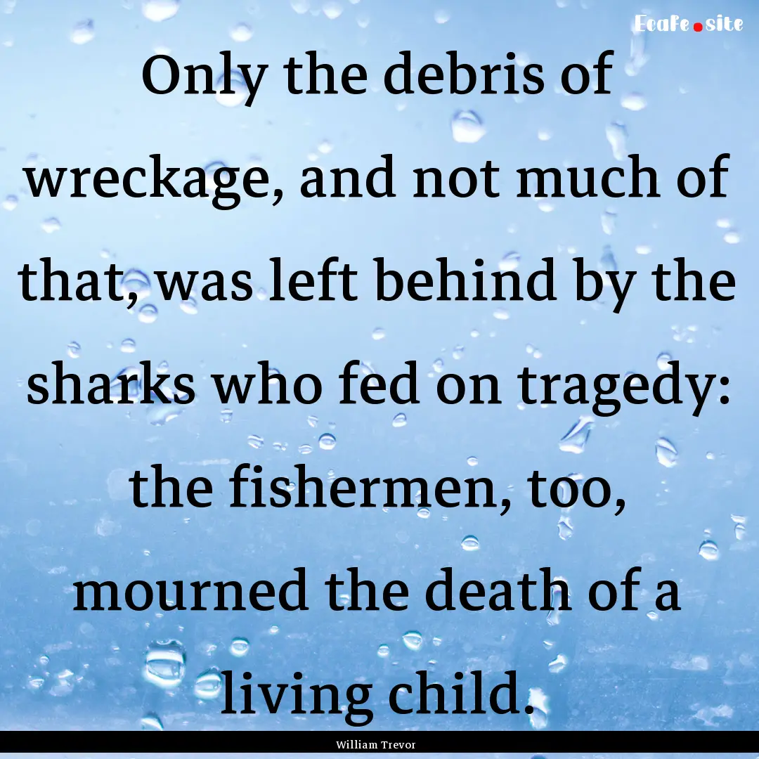 Only the debris of wreckage, and not much.... : Quote by William Trevor