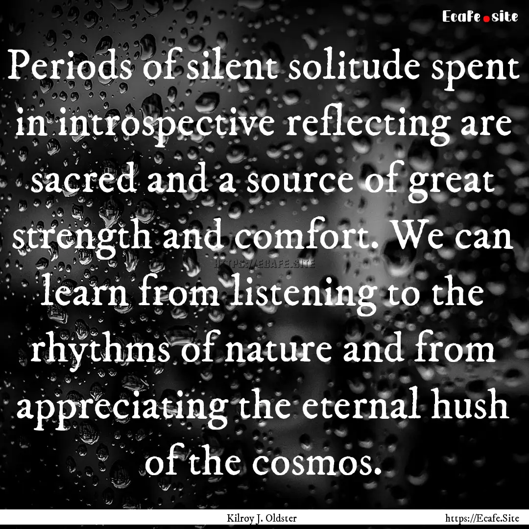 Periods of silent solitude spent in introspective.... : Quote by Kilroy J. Oldster