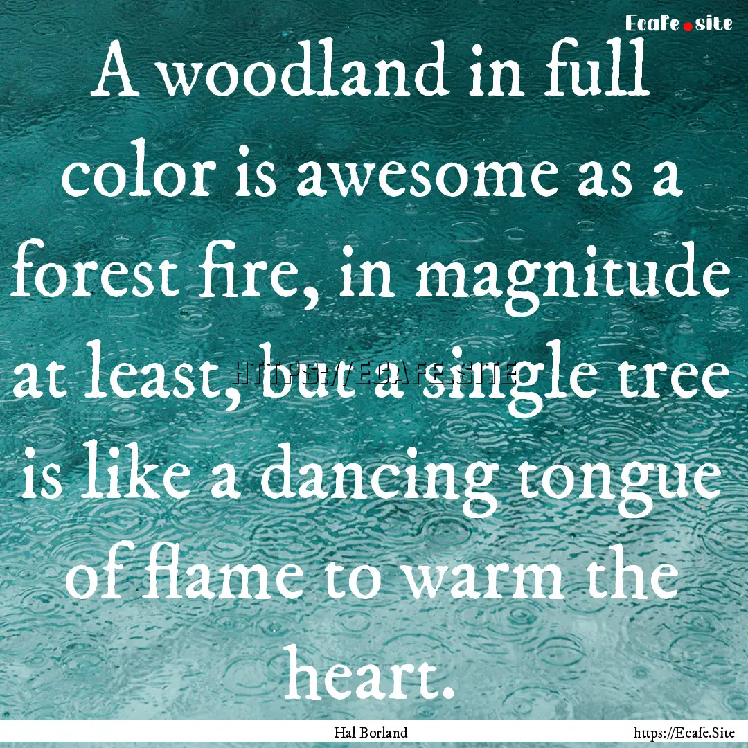 A woodland in full color is awesome as a.... : Quote by Hal Borland