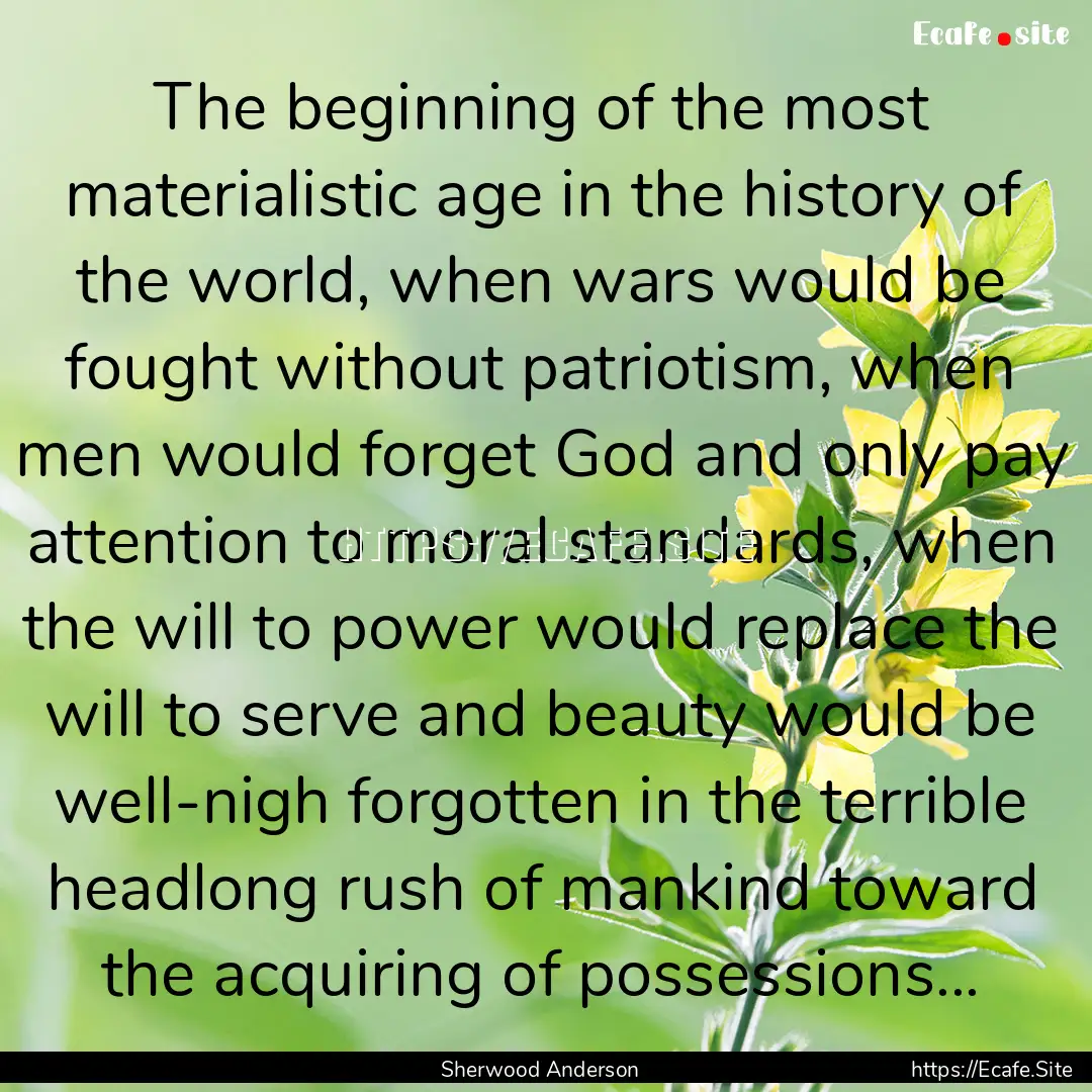 The beginning of the most materialistic age.... : Quote by Sherwood Anderson