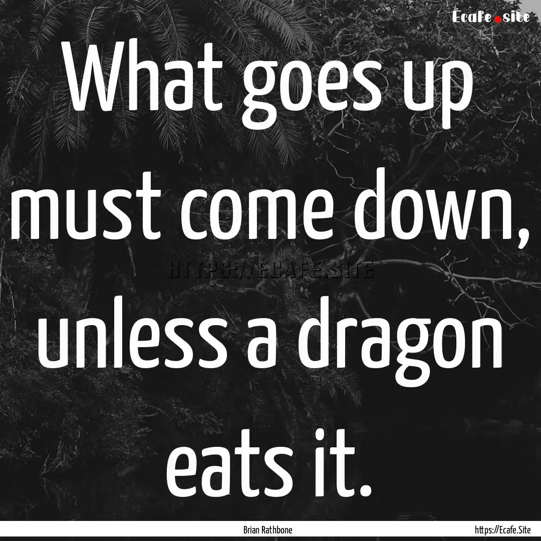 What goes up must come down, unless a dragon.... : Quote by Brian Rathbone