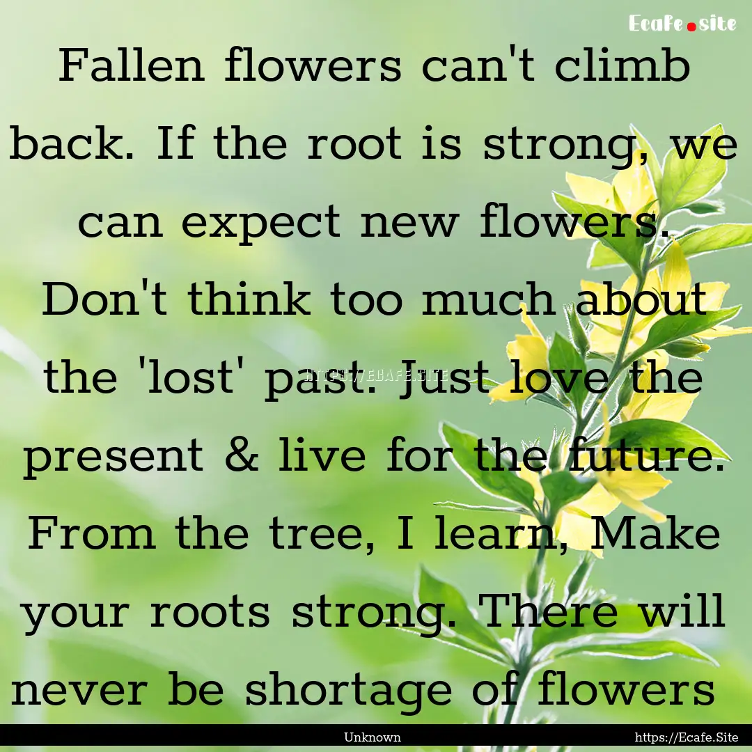 Fallen flowers can't climb back. If the root.... : Quote by Unknown