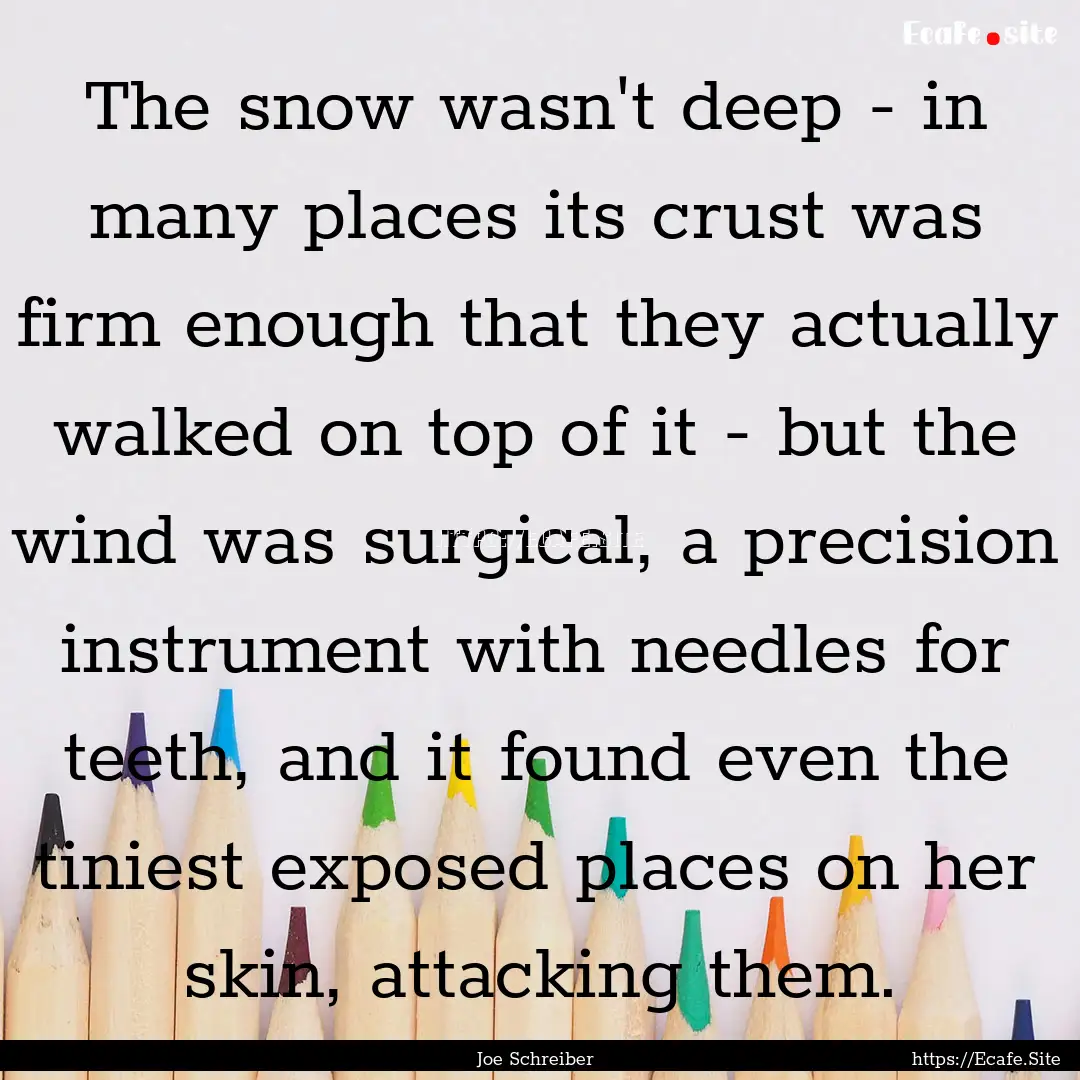 The snow wasn't deep - in many places its.... : Quote by Joe Schreiber