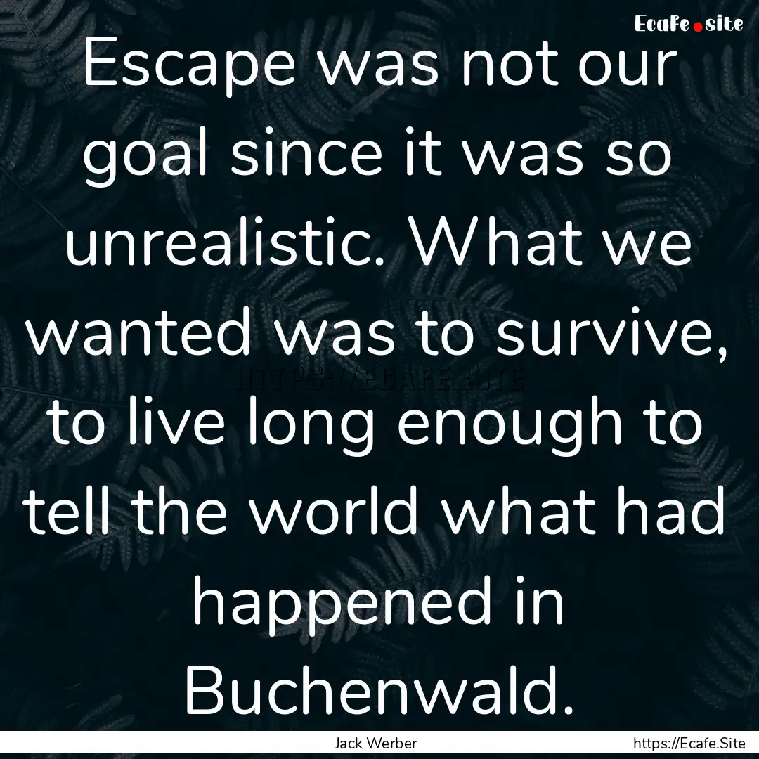 Escape was not our goal since it was so unrealistic..... : Quote by Jack Werber