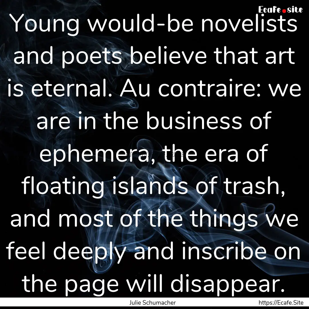 Young would-be novelists and poets believe.... : Quote by Julie Schumacher