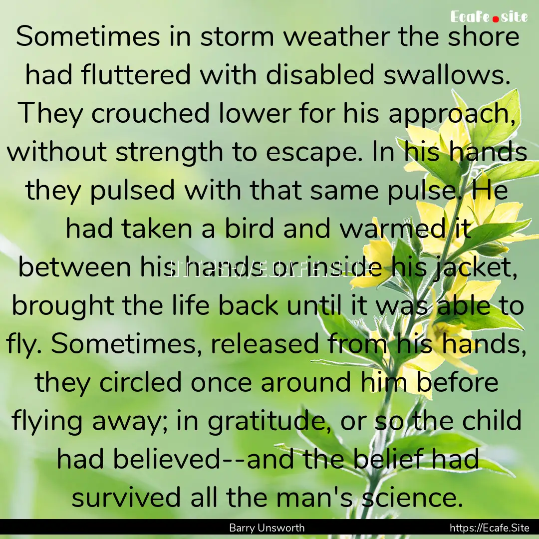 Sometimes in storm weather the shore had.... : Quote by Barry Unsworth