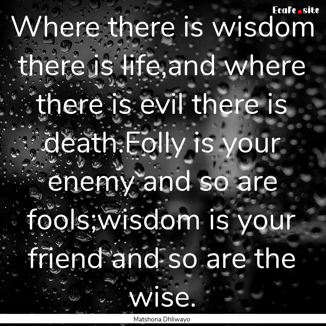 Where there is wisdom there is life,and where.... : Quote by Matshona Dhliwayo