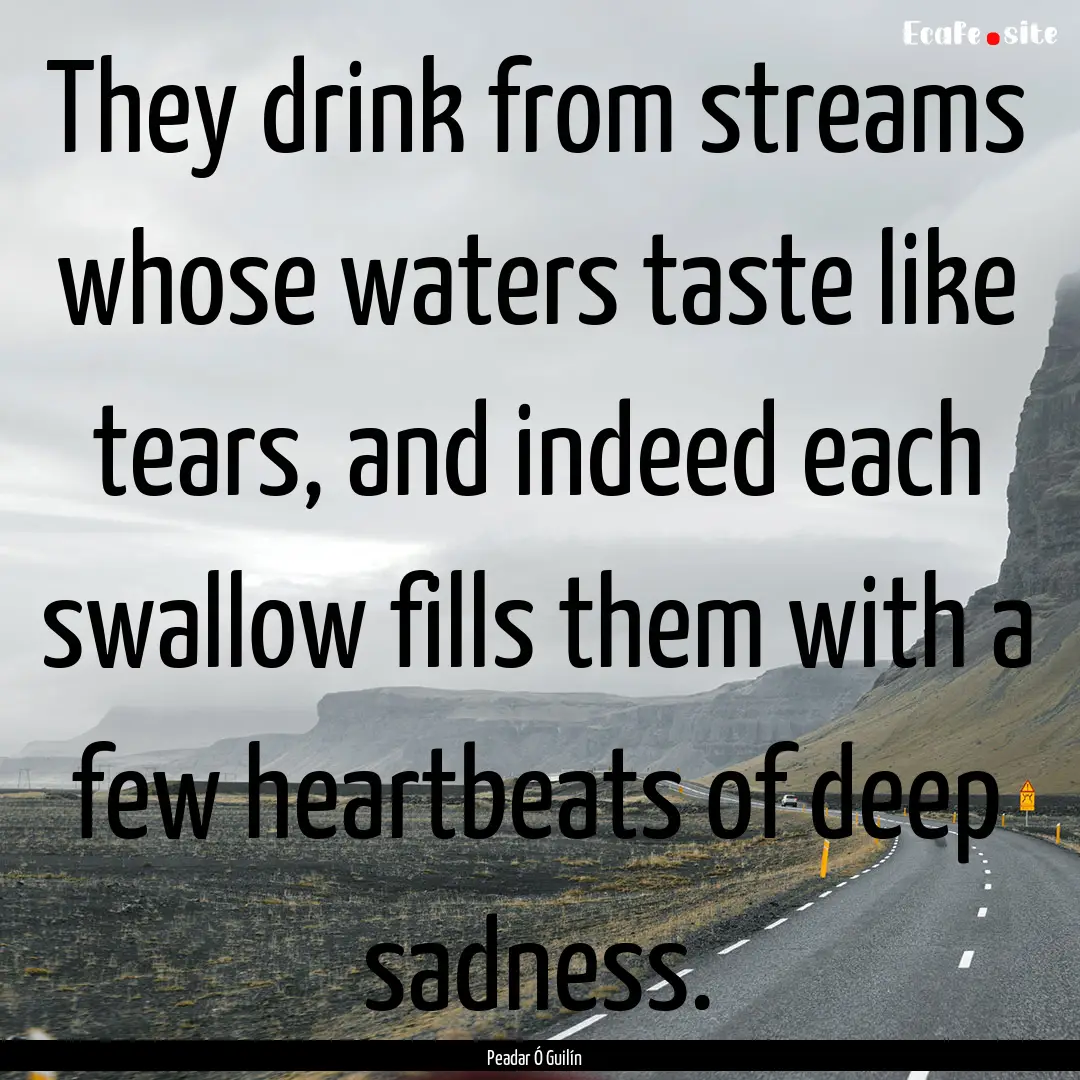 They drink from streams whose waters taste.... : Quote by Peadar Ó Guilín