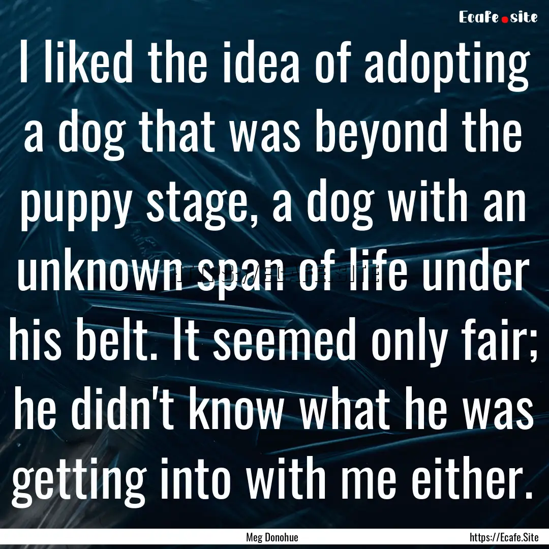 I liked the idea of adopting a dog that was.... : Quote by Meg Donohue