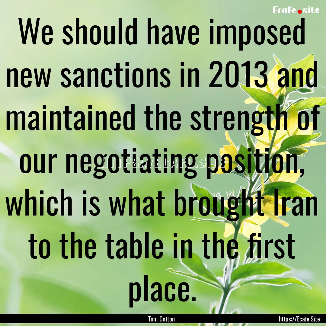 We should have imposed new sanctions in 2013.... : Quote by Tom Cotton