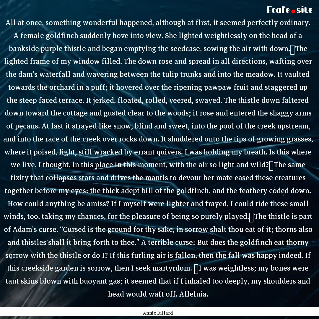 All at once, something wonderful happened,.... : Quote by Annie Dillard