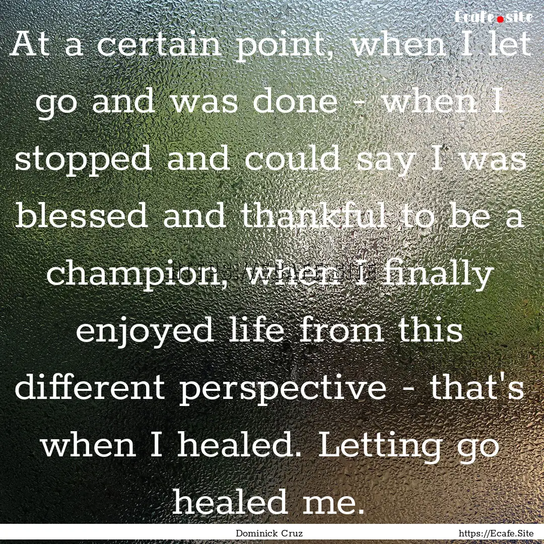 At a certain point, when I let go and was.... : Quote by Dominick Cruz