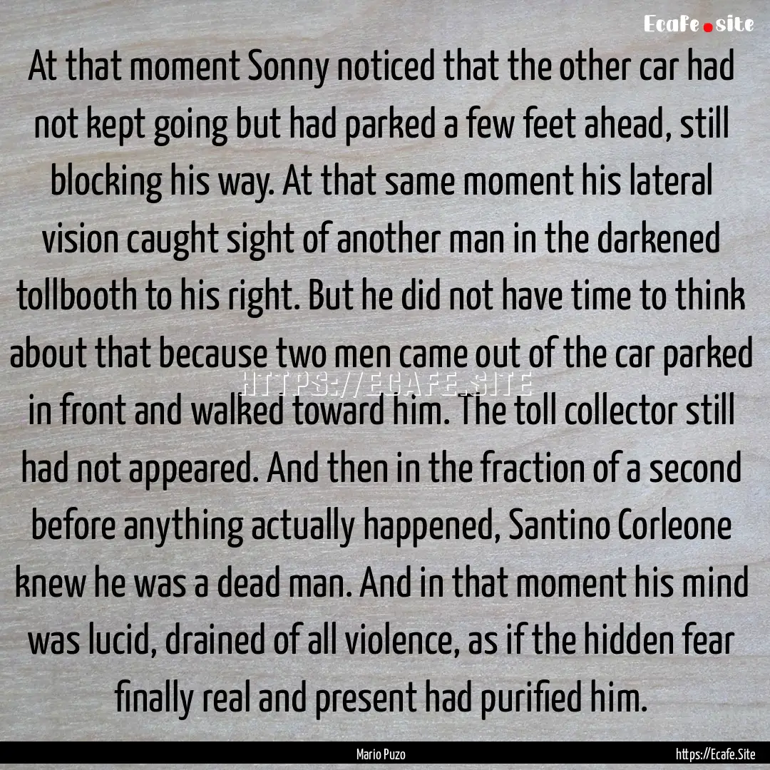 At that moment Sonny noticed that the other.... : Quote by Mario Puzo