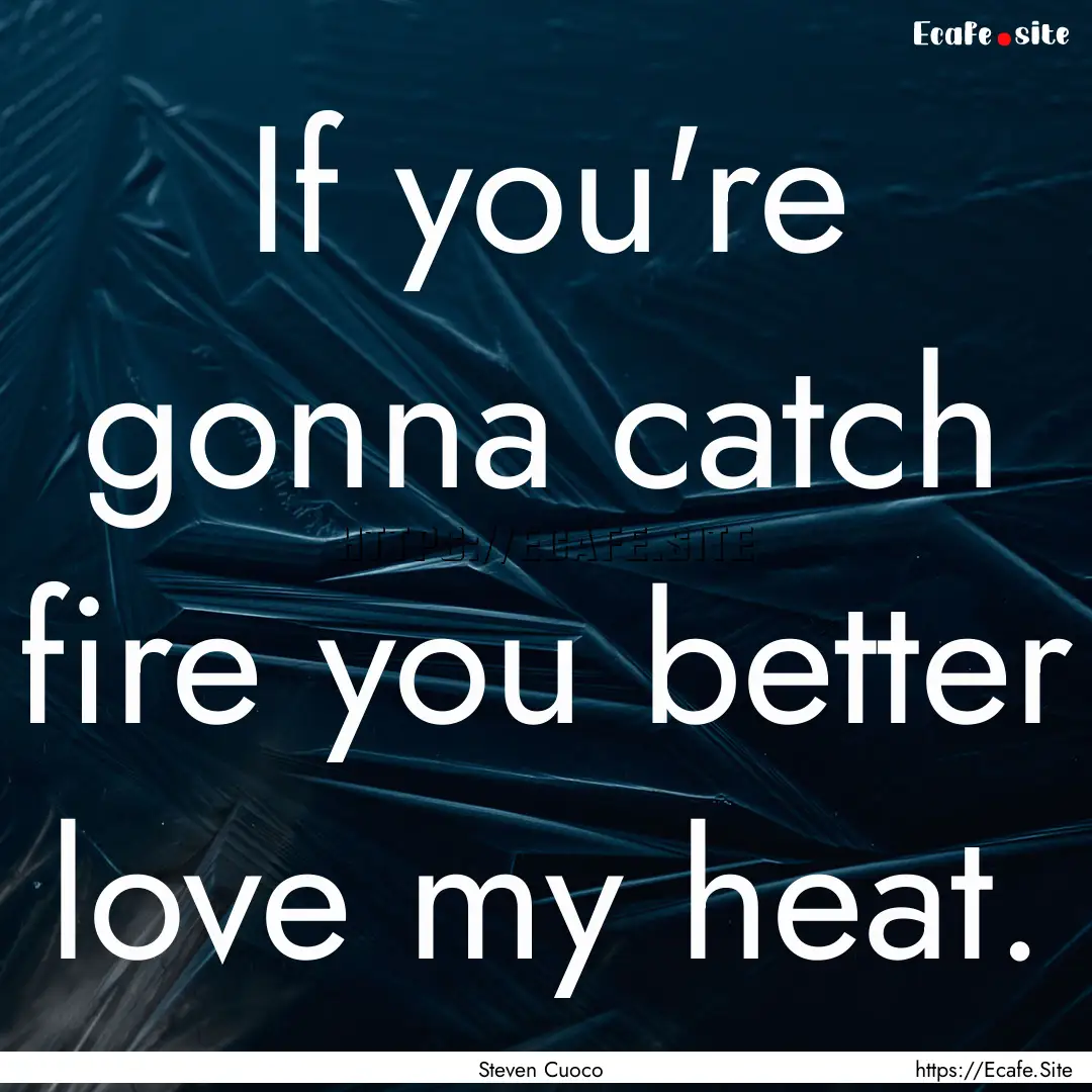 If you're gonna catch fire you better love.... : Quote by Steven Cuoco