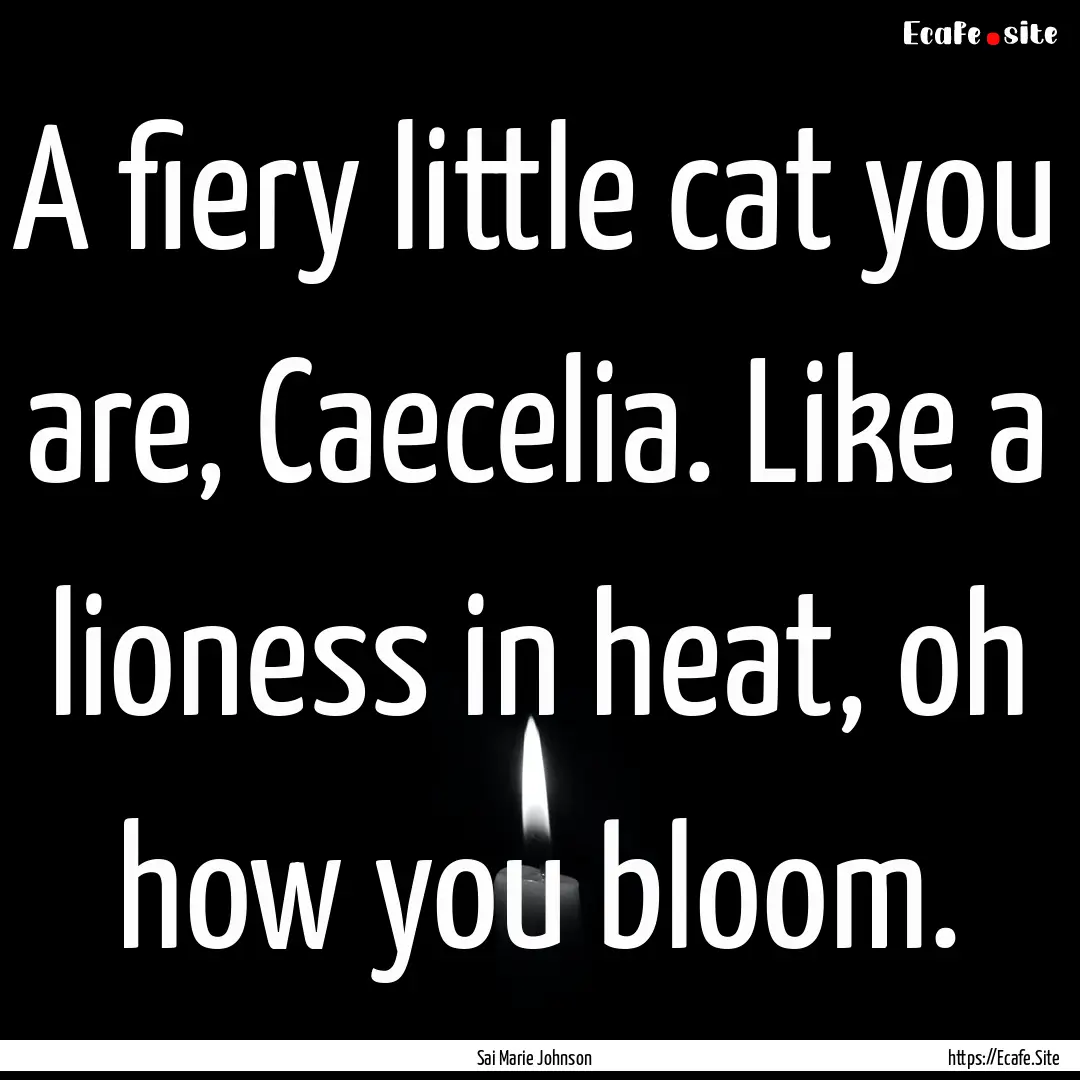 A fiery little cat you are, Caecelia. Like.... : Quote by Sai Marie Johnson