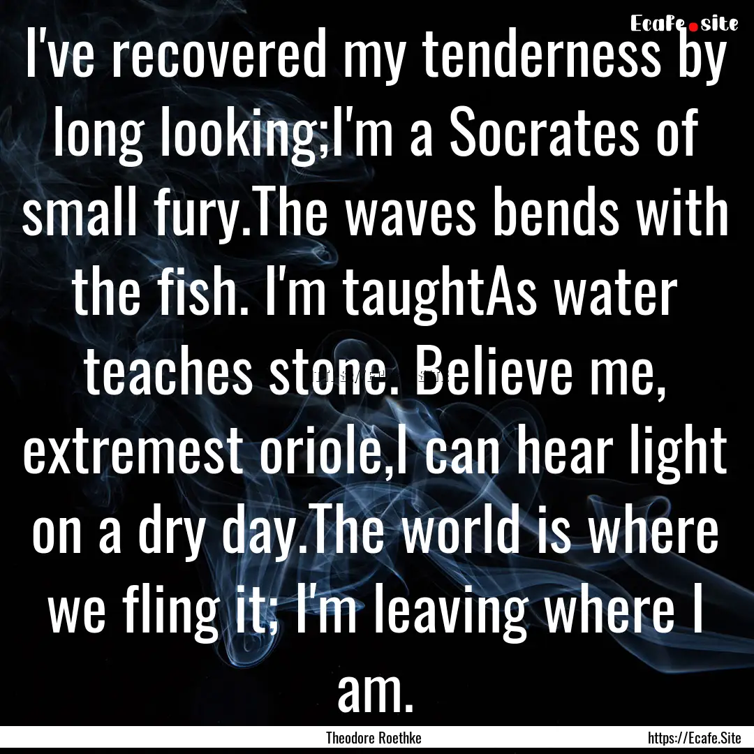 I've recovered my tenderness by long looking;I'm.... : Quote by Theodore Roethke