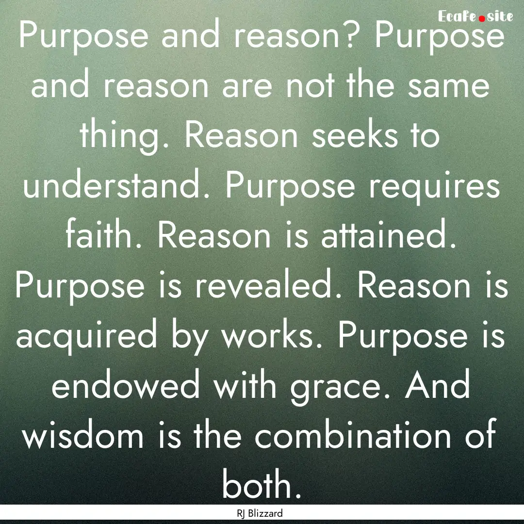 Purpose and reason? Purpose and reason are.... : Quote by RJ Blizzard