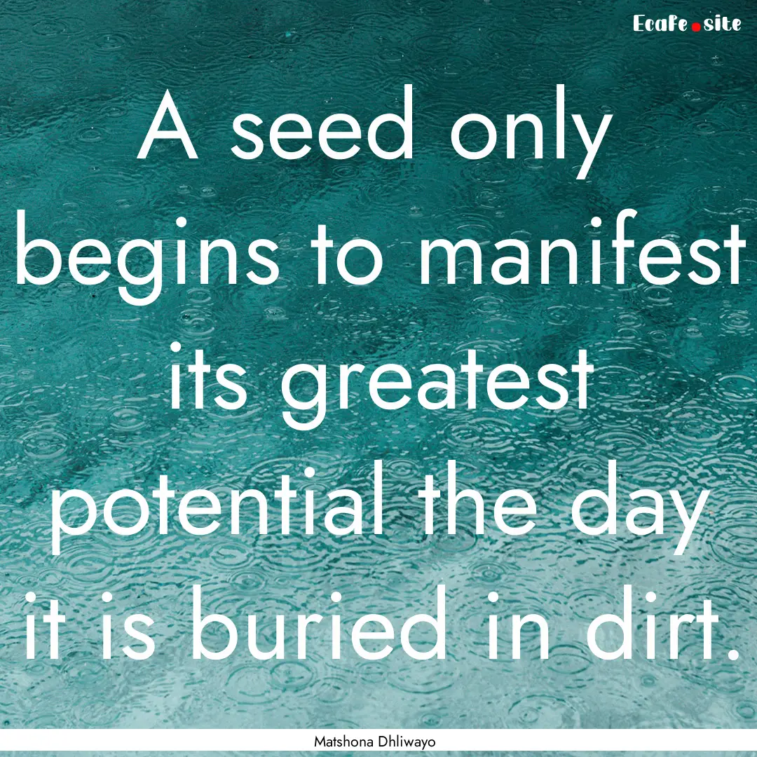 A seed only begins to manifest its greatest.... : Quote by Matshona Dhliwayo