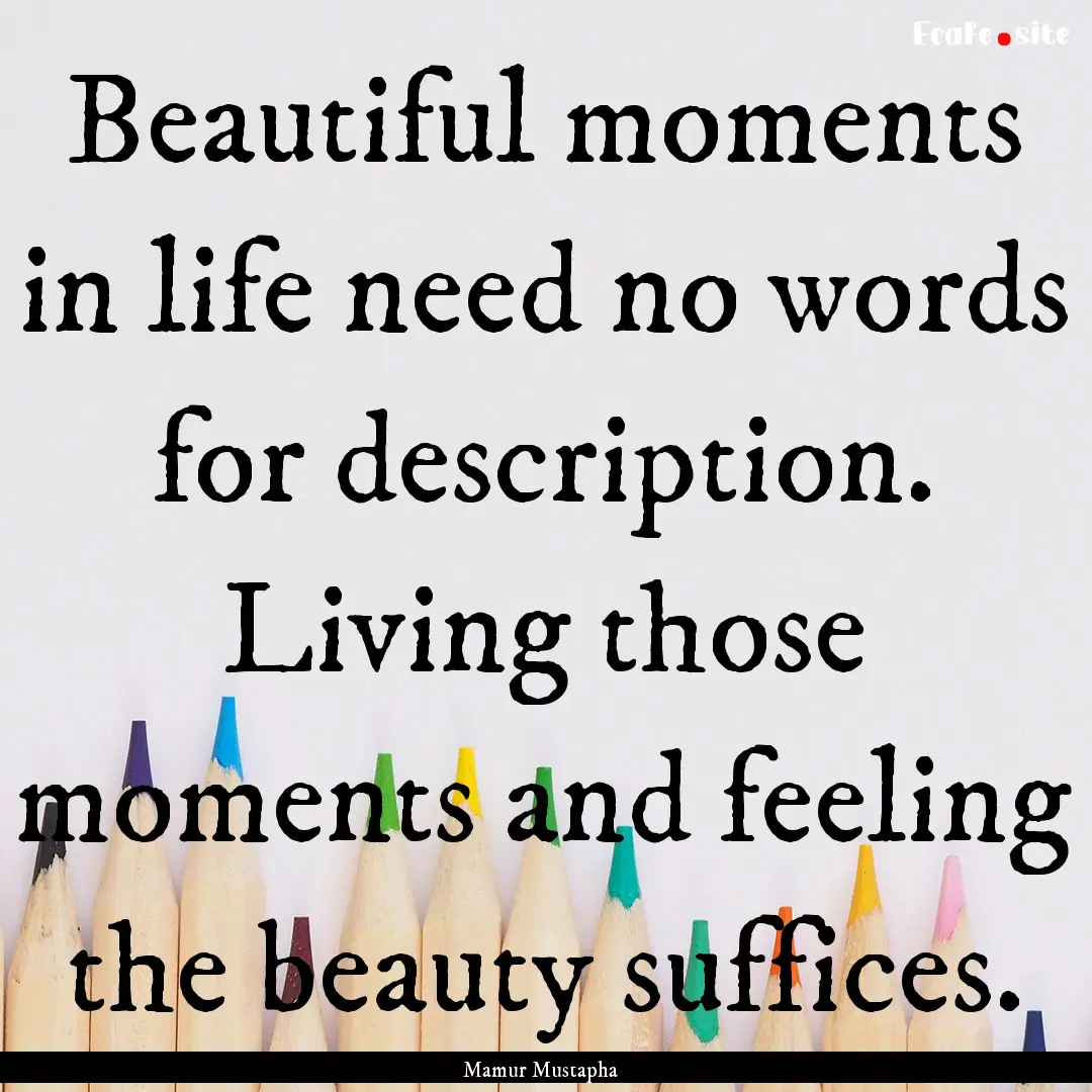 Beautiful moments in life need no words for.... : Quote by Mamur Mustapha