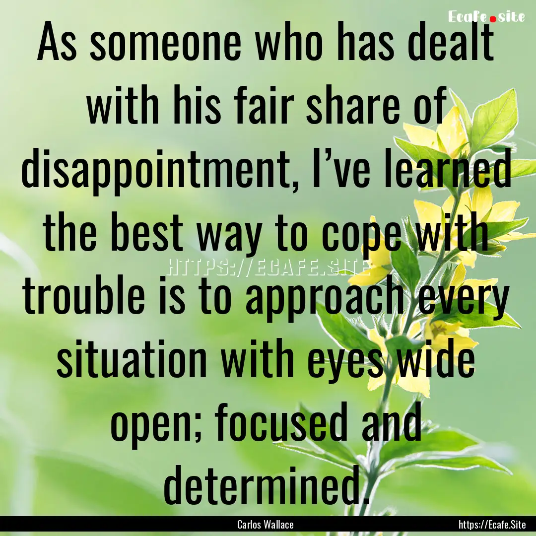 As someone who has dealt with his fair share.... : Quote by Carlos Wallace